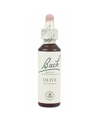 FLOR BACH olive 20 ml Nº23